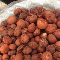 ราคา หมากแห้ง หมากแดง 300 500กรัม หมากแก่น หมากพลู (19908244898)