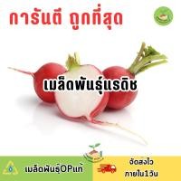 ราคา ถูกที่สุด เมล็ดพันธุ์แรดิช บรรจุ 250 เมล็ด (21252231401)
