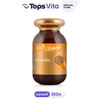 ราคา Springleaf สปริงลีฟ โพรโพลิส 90 แคปซูล (21095647717)