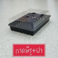 ราคา ถาดเพาะต้นอ่อน ถาดไดโซะ ถาดเพาะแคคตัส พร้อมฝาปิด ไดโซะจิ๋ว ถาดเพาะเมล็ด ถาดไดโซะ ถาดเพาะแคคตัส พร้อมฝาครอบ ถาดเพาะกล้า (7725444223)