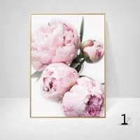ราคา ดอกโบตั๋นสีชมพูภาพวาดโปสเตอร์ตกแต่งบ้านนอร์ดิกน้ำมันภาพวาดโปสเตอร์และพิมพ์ห้องนั่งเล่นตกแต่งบ้านผ้าใบศิลปะผนัง (12594494270)