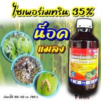 ราคา ยกลัง 12 ขวด ฉลาม 1 ลิตร ไซเพอร์เมทริน 35 น้ำยาพ่นยุง ยาพ่นยุง ไซเพอร์การ์ด 25 วินเนอร์ 250 ไซเพอร์เมทริน 35 ไซเพอ35 กำจัดแมลง มด เห็บ ยุง (21296799610)