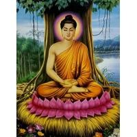 ราคา ภาพพระพุทธเจ้าปางประจำวันเกิดทั้ง7วันและ ปางประสูติ ตรัสรู้ ปรินิพาน และปางประทานพร ภาพเคลือบมันอย่างดีสีสวยสดใสขนาด15X20นิ้ว (15270269519)