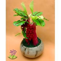 ราคา ต้นกล้วย กระถางต้นไม้มงคล งานดินปั้น กล้วยมงคล (4032202991)