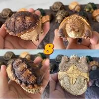 ราคา bighead series snipping turtle figurines recast โมเดลเต่าตัวเล็ก (14422396722)