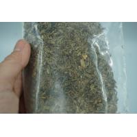 ราคา เมล็ดพันธุ์โสมตังกุย น้าหนัก 25 กรัม เม็ดโสมตังกุย เมล็ดตังกุยแห้ง โกฐเชียง Angelica sinensis Diels สรรพคุณ ต้านอนุมูลอิสระ บำรุงกำลัง ช่วยฟอกเลือด ช่วยกระจายโลหิต บำรุงสมอง รักษแก้อาการปวดศรีษะ มือเท