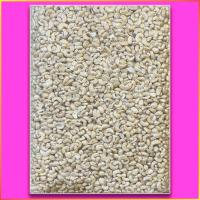 ราคา ขายส่ง แบบดิบ อัลมอนด์ 10 กก Wholesale Raw Almond 10 kg Raisins ลูกเกด เม็ดมะม่วงหิมพานต์ เมล็ดฟักทอง พิสตาชิโอ เมล็ดทานตะวัน Cashew Nuts Pumpkin Pistachios Sunflower (19806885299)
