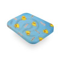 ราคา SiamLatex Baby Plus หมอนหลุม หมอนหัวทุย 5 เดือน 1 ขวบ หมอนยางพาราทารก กันไรฝุ่น แถมฟรี ปลอกผ้าลาย เป็ดน้อย (9665662223)