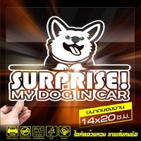ราคา สติ๊กเกอร์ติดรถ SURPRISE DOG IN CAR สำหรับ คนรักน้องหมา รหัส 07 07 ขนาด 14x20ซ ม (4612514416)