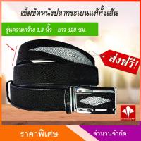 ราคา ส่งฟรี AuthenticAsia เข็มขัดหนังปลากระเบนแท้ หัวสเตนเลส ปรับเลื่อนล็อค มอบเป็นของขวัญผู้ชาย ของขวัญปีใหม่ (4802658353)