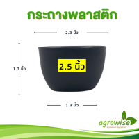ราคา กระถางต้นไม้ กระถางแคคตัส กระถางกระบองเพชร สีดำ กระถางแคคตัส 2 5 นิ้ว 50 ใบ (18285079748)
