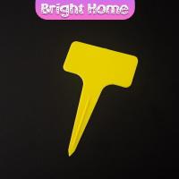 ราคา ป้ายพลาสติก mini ป้ายชื่อแคคตัส ป้ายชื่อสวน ป้ายไม้ดอกไม้ garden label (13966851211)