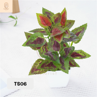 ราคา ต้นไม้ประดิษฐ์ สไตล์มินิมอล พร้อมกระถาง ต้นไม้ปลอม ต้นไม้ปลอมอีเกีย ต้นไม้ปลอมตกแต่งบ้าน ตกแต่งโต๊ะ ตกแต่งห้อง (10119371078)