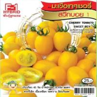 ราคา เมล็ดพันธุ์ มะเขือเทศ เจียไต๋ ตราเครื่องบิน F 1 Hybrid ผักสวนครัว เมล็ดผัก เมล็ดพันธุ์พืช เมล็ดพันธุ์ผัก เมล็ดผลไม้ มะเขือเทศสีดา AK (12268790288)