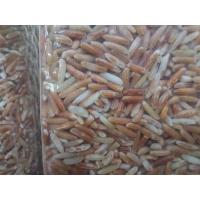 ราคา ข้าวสังหยดข้าวซ้อมมือพัทลุงนาข้าวออแกนิคอินทรีย์100 ไม่ใช้สารพิษขึ้นทะเบียน (19628606204)