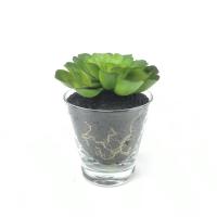 ราคา แคคตัสปลอมพร้อมกระถาง กุหลาบหินปลอม ต้นไม้ปลอมมินิมอล (1478362405)