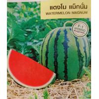 ราคา เมล็ดพันธุ์ แตงโม เมล่อน แคนตาลูป ทุกสายพันธุ์ 10 50 เมล็ด แตงโม แตงโมเหลือง แตงโมดำ แตงโมไร้เมล็ด (20959630104)