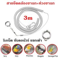 ราคา สายยืดคล้องขานก ห่วงขานก ห่วงเปิดนก ห่วงขานก เชือกนกแก้ว สายคล้องขานก ป้องกันนกหลุด 3 เมตร ริงเน็ค ซันคอนัวร์ (13466933858)