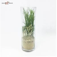 ราคา สวนขวดแก้ว สวนโหลแก้ว ต้นไม้ประดิษฐ์ในโหลแก้ว (3424284398)