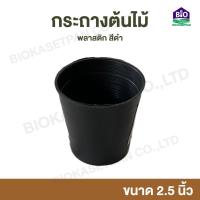ราคา กระถางต้นไม้พลาสติก กระถางพลาสติก กระถางปลูกต้นไม้ สีดำ กระถางดำ 2 5 นิ้ว ขายส่ง 20 50 100 ใบ (19958823963)