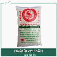 ราคา สาคูเม็ดเล็ก สาคูขาว สาคู ตราปลามังกร ขนาด480กรัม เนื้อหนึบ อร่อย (5804410813)