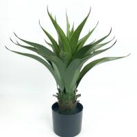ราคา Global House Tree O ต้นไม้เทียมประดิษฐ์ 58ซม Artificial tree 58 cm รับประกันของเเท้ (10440535511)