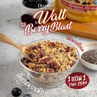 ราคา 1แถม1 Diamond Grains Granola กราโนล่า ข้าวโอ๊ตผสมแผ่นมอลต์ มี 3 รส ทรอพพิคอล เบอร์รี่ ช็อกโกแลต (16979450689)