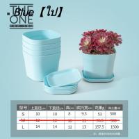 ราคา กระถางเล็ก กระถางปลูกต้นไม้ทรงสีเหลี่ยม ปลูกกระบองเพชร XF (18089068378)