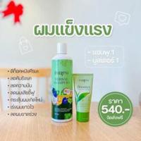 ราคา พร้อมส่ง ส่งฟรี แฟรี่ปาย Fairypai เคราตินเข้มข้น เซรั่ม แชมพู ทรีทเม้นท์ บำรุงผม เร่งผมยาว ลดผมเสีย ผมมีน้ำหนัก (17378908120)
