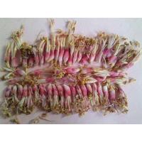 ราคา เมีย ดอกว่านดอกทอง Elettariopsis ว่านดอกทอง ว่านราคะ ว่านมหาเสนห์ ที่สุดแห่งว่านมหาเสน่ห์ สรรพคุณเมตตามหานิยม และมหาเสน่ห์ รวมถึงการนำมาใช้เป็นสมุนไพรรักษาโรค แบบแห้ง ถือเป็นว่านโบราณหายาก และใกล้จะสู