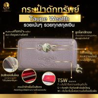 ราคา กระเป๋าดักทรัพย์ กระเป๋าสตางค์ รวยเน้นๆ รวยทุกสกุลเงิน สีน้ำตาลเทาเข้ม Taupe Wealth (8757661600)