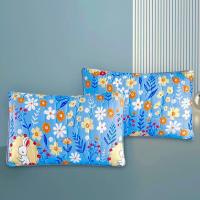 ราคา ปลอกหมอน ปลอกหมอนรองกันเปื้อน ปลอกหมอนใยไหม กันเปื้อน จำนวน 2 ผืน (20892224366)