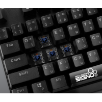 ราคา KB 718 KEYBOARD คีย์บอร์ด SIGNO INDIGO TKL MINI RGB FULL KEY มี 2 ปุ่ม BLUE RED SWITCH ประกัน 2 ปี ของแท้ ประกันศูนย์ (14763882914)