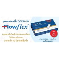 ราคา FLOWFLEX ชุดตรวจ ATK เขียว จมูก น้ำลาย 2 in 1 (19764337264)
