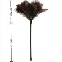 ราคา High end Ostrich Feather Duster Household Dust Sweeping Artifact Anti static Car Cleaning Duster Does Not Shed Hair Thickened (19844672997)