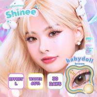 ราคา คอนแทคเลนส์ ขนาดบิ๊กอาย Babydoll Brown Gray Shinee (20781361237)