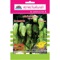 ราคา เมล็ดพันธุ์ พริกหยวก ขาวหยวก ตราตะวันต้นกล้า (9058255997)