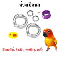 ราคา 7มม ห่วงเปิดนก ห่วงขานก ห่วงใส่นกแก้ว ซันคอนัวร์ ริงเน็ค พระภิกษุ ลอรี่ 1ชิ้น 2ชิ้น 5ชิ้น เลือกสั่งได้ค่ะ (17455915443)