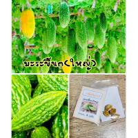 ราคา เมล็ดพันธุ์ มะระขี้นก ลูกใหญ่ มะระขี้นก 10แถม 1คละอย่างได้ (10034532341)