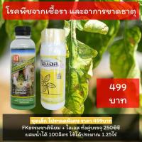 ราคา มะนาวใบไหม้ โรคใบแก้ว เพลี้ยมะนาว อาการขาดธาตุสังกะสี ปุ๋ยน้ำ มะนาว โปรดอ่านรายละเอียด (11819674996)