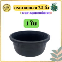 ราคา กระถางแขวน กระถางต้นไม้สำหรับแขวน ขนาด 7 5 นิ้ว ความกว้างปากกระถาง เบอร์8 กระถางชามเตี้ย สีดำ ทรงเตี้ย กระถางคุณนายตื่นสาย (20396159966)