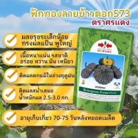 ราคา ฟักทองข้าวตอก 573 F1 ศรแดง 100 กรัม หมดอายุ7 68 (19324471994)
