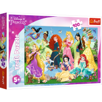 ราคา TREFL Jigsaw จิ๊กซอว์เด็ก จิ๊กซอว์การ์ตูน ดิสนี่ย์ จำนวน 100 ชิ้น Disney Frozen Elsa Marvel ของแท้ 100 5y พร้อมส่ง (21022525021)