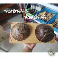 ราคา หมอนนมกะลา นวดฝ่าเท้า กะลาเหยียบนวดเท้า ไซส์ใหญ่ (17324498472)