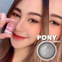 ราคา pony pola gray สีเทาตาฉ่ำวาว ตาโตบิ๊กอายส์คละแบรนด์จ้า (17362041194)