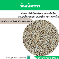 ราคา มิลเล็ตขาว แบ่งขาย 200G 500G 1KG หงษ์หยก ฟิ้นซ์ ซีบร้า กระจอกชวา (17437822283)