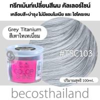ราคา Top Secret Color Shine Hair Color Treatment 100ml ทรีทเม้นท์เปลี่ยนสีผม เคลือบสีสวย ผมไม่เสีย ไม่มีแอมโมเนีย (18331733794)