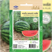 ราคา เมล็ดพันธุ์ แตงโม ซอนญ่า พลัส ตราเจียไต๋ (19493155356)