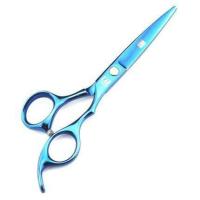 ราคา กรรไกรตัดขนสัตว์เลี้ยง 6 นิ้วกรรไกรตัดขนสุนัข กรรไกรตัดขนหมา Dog Grooming Scissors กรรไกรซอย กรรไกรตรง กรรไกรตัดขนแมว Japan Quality (7447496938)