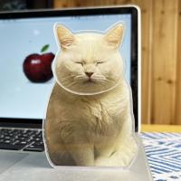 ราคา Wilber โมเดลน้องแมวส่ายหัวดุ๊กดิ๊ก น้องแมวส่ายหัว แมวหน้าสั่น (20922919978)